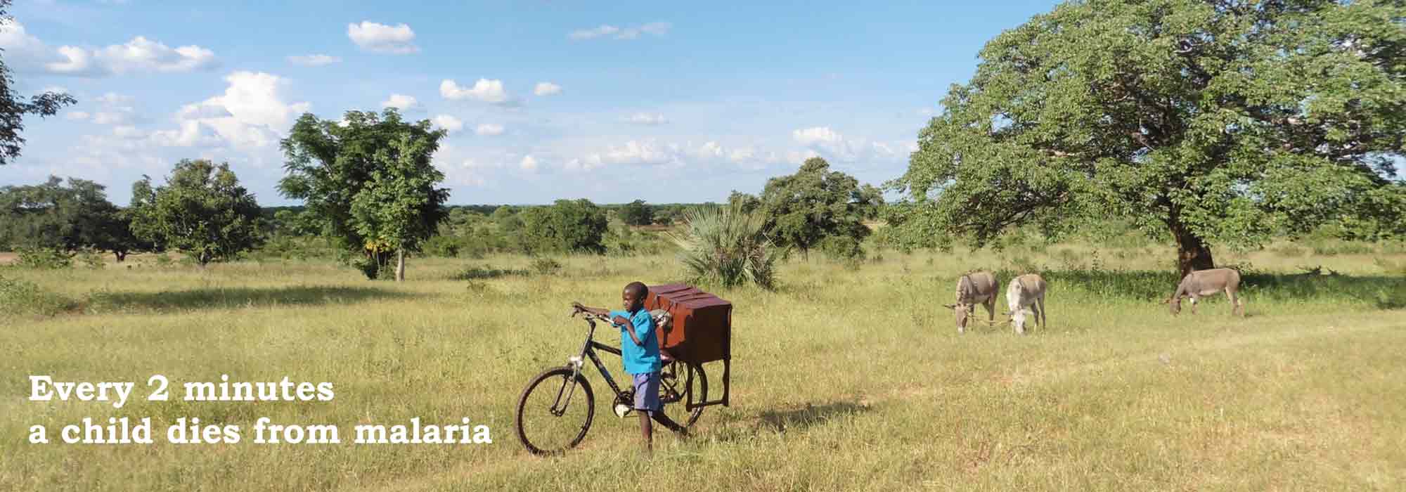 The BUtterfly Tree Charity